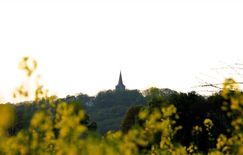 Aktivitäten in Elten